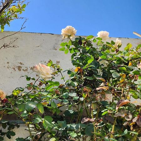 Duplex Bien Equipe Securise Avec Jardin Et Veranda 拉马萨 外观 照片