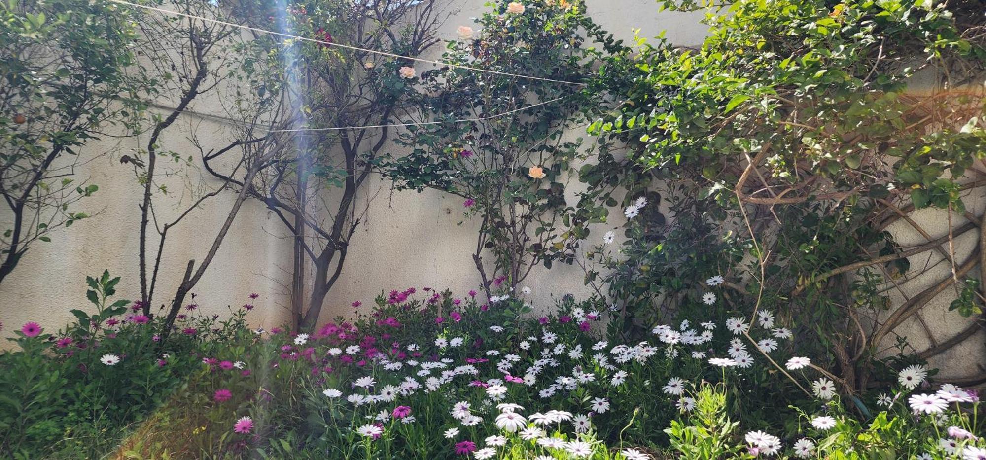 Duplex Bien Equipe Securise Avec Jardin Et Veranda 拉马萨 外观 照片