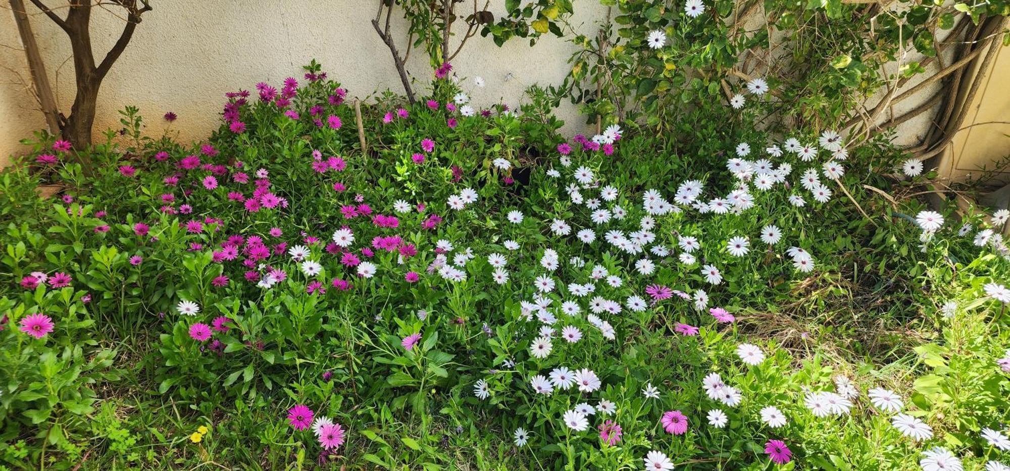 Duplex Bien Equipe Securise Avec Jardin Et Veranda 拉马萨 外观 照片