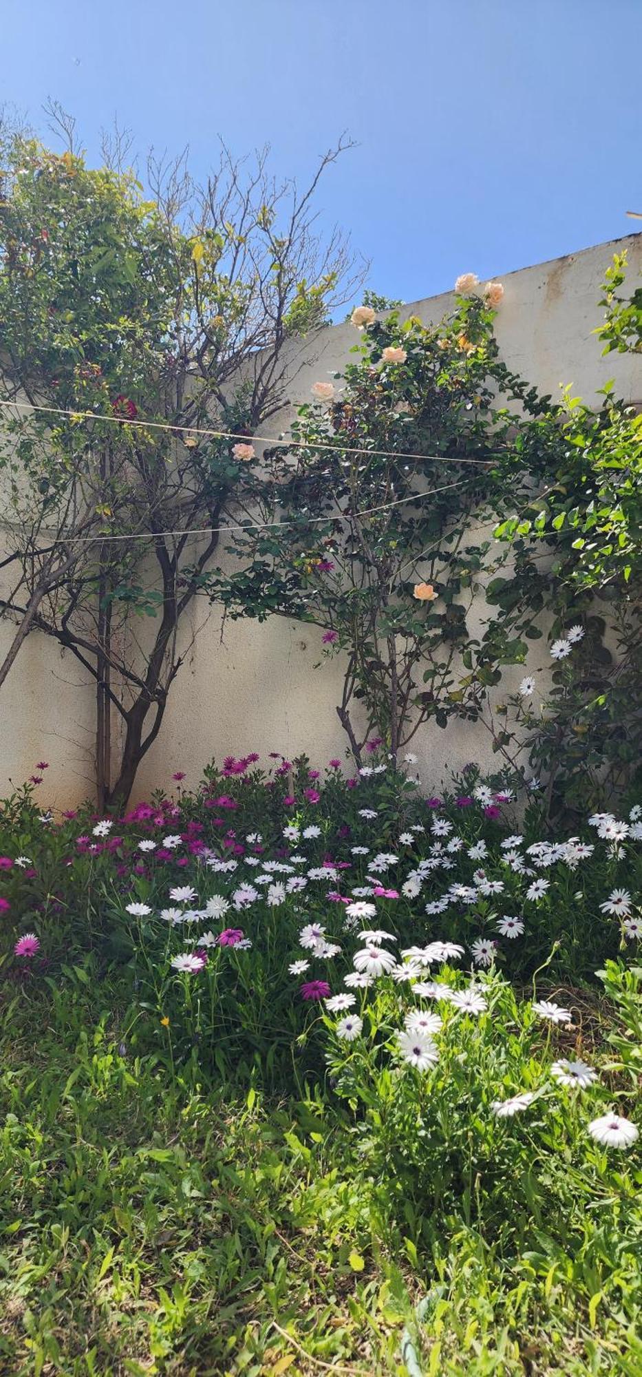 Duplex Bien Equipe Securise Avec Jardin Et Veranda 拉马萨 外观 照片